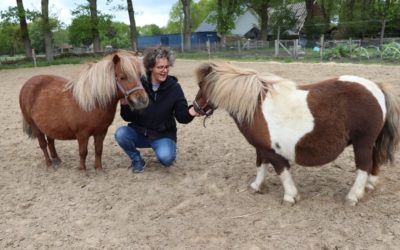 Zorghoeven coacht mensen met dementie met behulp van paarden